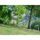 Search_FARMHOUSE TO RENOVATE FOR SALE IN THE MARCHE IN A WONDERFUL PANORAMIC POSITION SURROUNDED BY A PARK in Le Marche_41